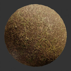 Poliigon Ground Grass Brown _texture_ - - -004 