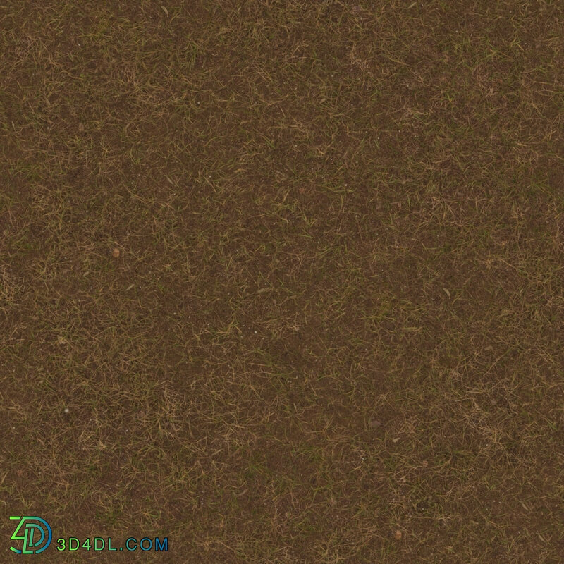 Poliigon Ground Grass Brown _texture_ - - -004