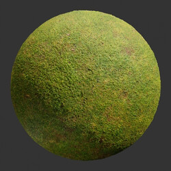 Poliigon Ground Grass Green _texture_ - - -001 
