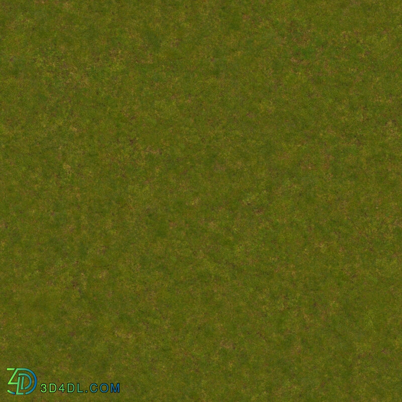Poliigon Ground Grass Green _texture_ - - -001