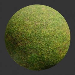 Poliigon Ground Grass Green _texture_ - - -002 