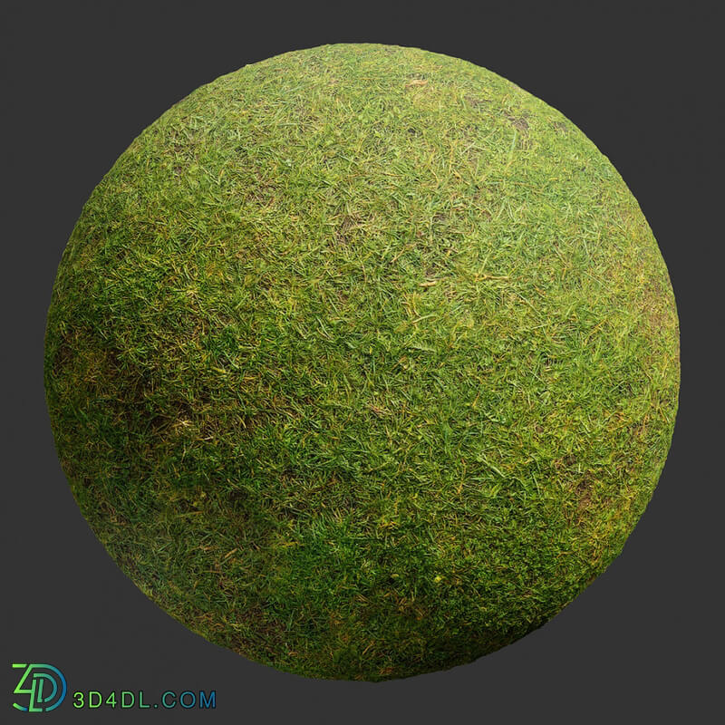 Poliigon Ground Grass Green _texture_ - - -002