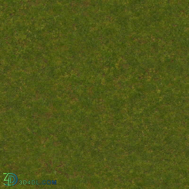 Poliigon Ground Grass Green _texture_ - - -002