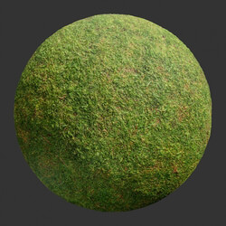 Poliigon Ground Grass Green _texture_ - - -003 