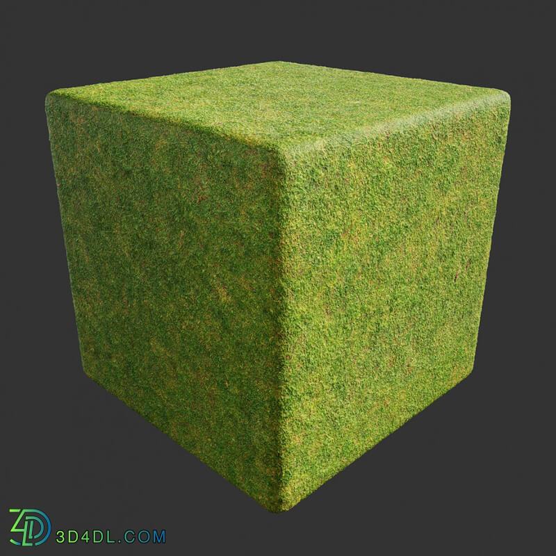 Poliigon Ground Grass Green _texture_ - - -003