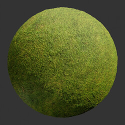 Poliigon Ground Grass Green _texture_ - - -004 