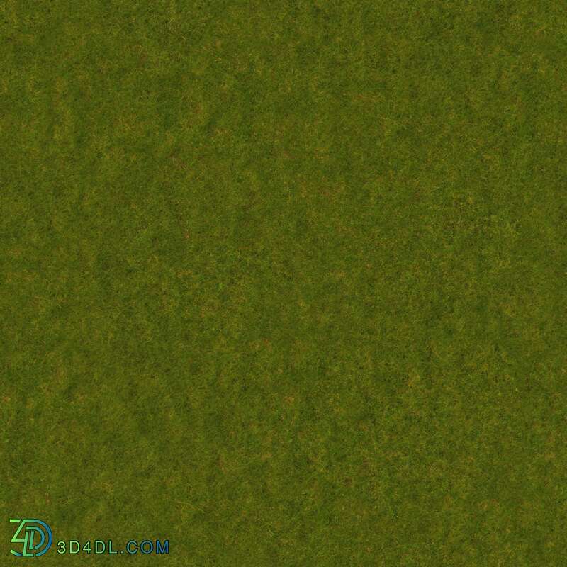 Poliigon Ground Grass Green _texture_ - - -004