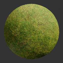 Poliigon Ground Grass Green _texture_ - - -005 