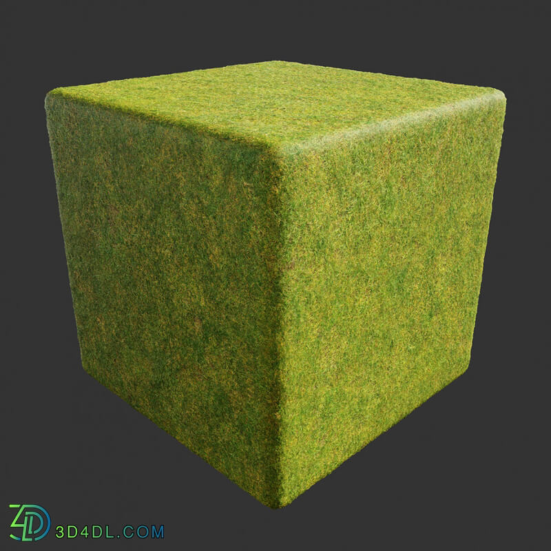 Poliigon Ground Grass Green _texture_ - - -005