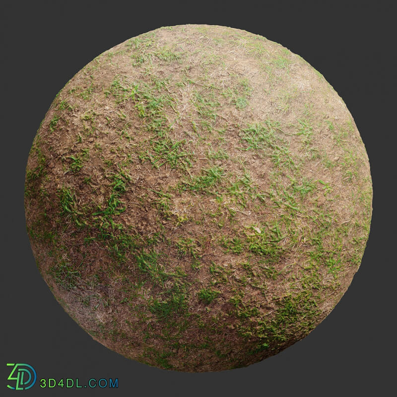 Poliigon Ground Grass Green Patchy _texture_ - - - -001