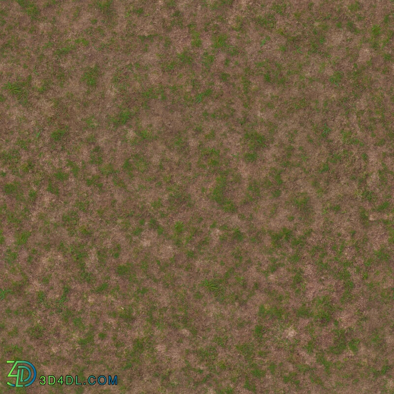 Poliigon Ground Grass Green Patchy _texture_ - - - -001