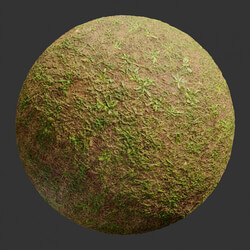 Poliigon Ground Grass Green Patchy _texture_ - - - -002 