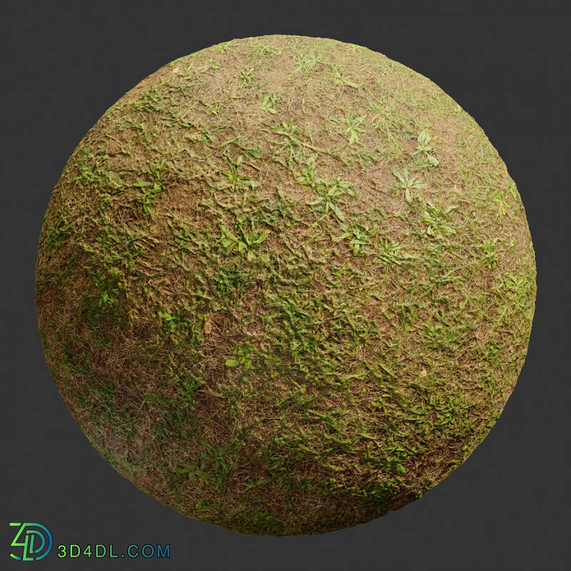 Poliigon Ground Grass Green Patchy _texture_ - - - -002
