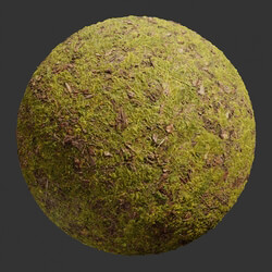 Poliigon Ground Grass Green Patchy _texture_ - - - -003 