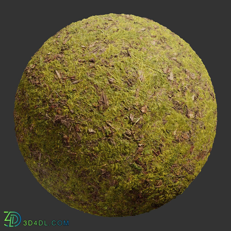 Poliigon Ground Grass Green Patchy _texture_ - - - -003