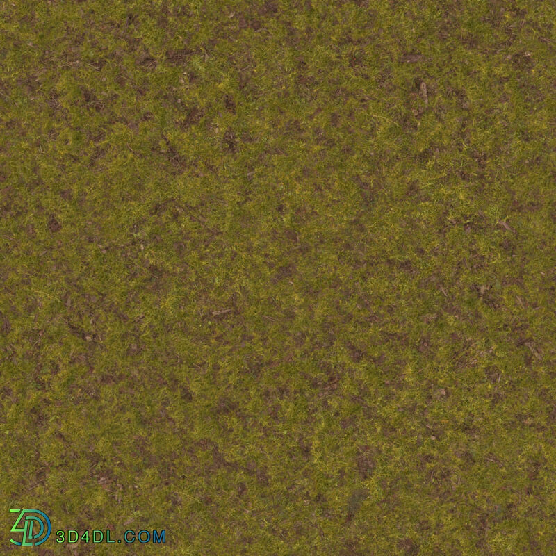 Poliigon Ground Grass Green Patchy _texture_ - - - -003