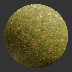 Poliigon Ground Grass Green Pinecones _texture_ - - - -001 