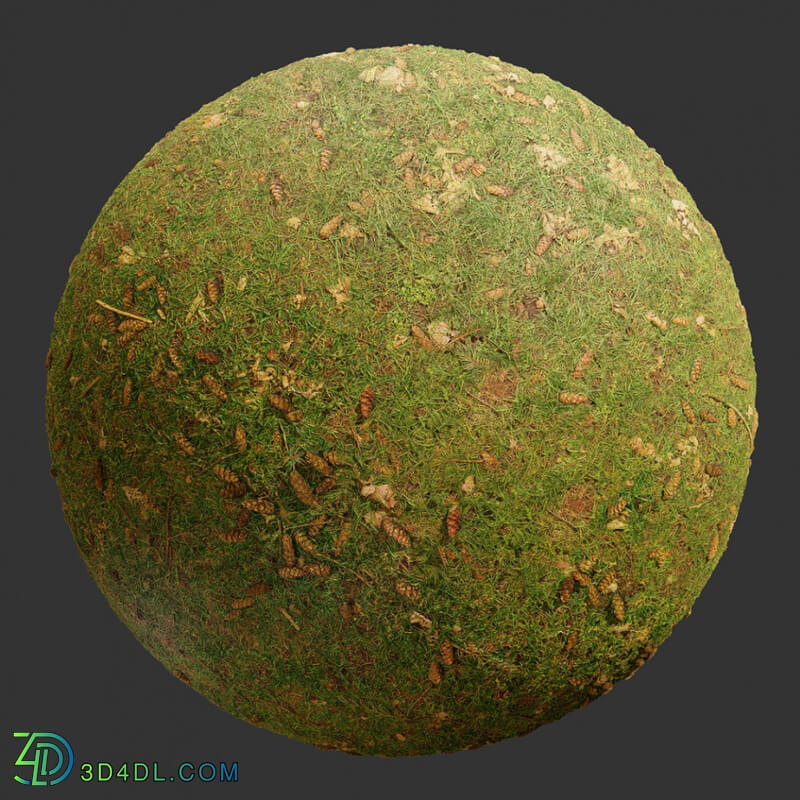 Poliigon Ground Grass Green Pinecones _texture_ - - - -001