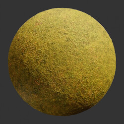 Poliigon Ground Grass Yellow _texture_ - - -001 