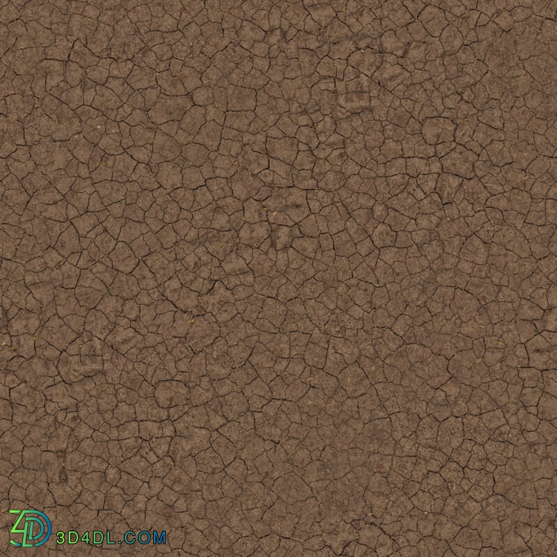 Poliigon Ground Mud Cracked _texture_ - - -003