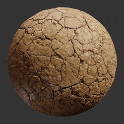 Poliigon Ground Mud Cracked _texture_ - - -005 