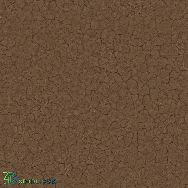 Poliigon Ground Mud Cracked _texture_ - - -005