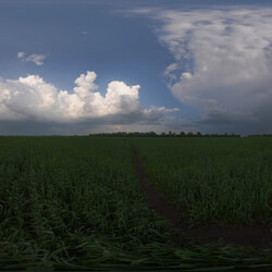 Poliigon Hdr Outdoor Field Afternoon Cloudy _texture_ - - - - -002 