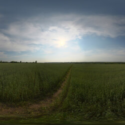 Poliigon Hdr Outdoor Field Afternoon Cloudy _texture_ - - - - -007 