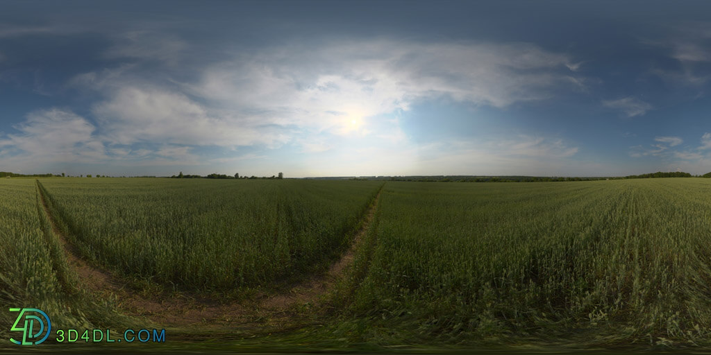 Poliigon Hdr Outdoor Field Afternoon Cloudy _texture_ - - - - -007