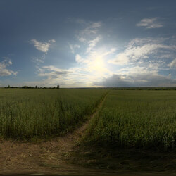 Poliigon Hdr Outdoor Field Afternoon Cloudy _texture_ - - - - -008 