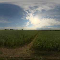 Poliigon Hdr Outdoor Field Afternoon Cloudy _texture_ - - - - -009 