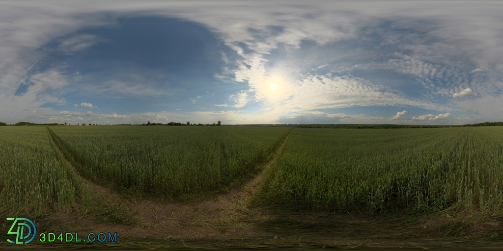 Poliigon Hdr Outdoor Field Afternoon Cloudy _texture_ - - - - -009