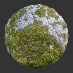 Poliigon Rock Mossy Full _texture_ - - -002 