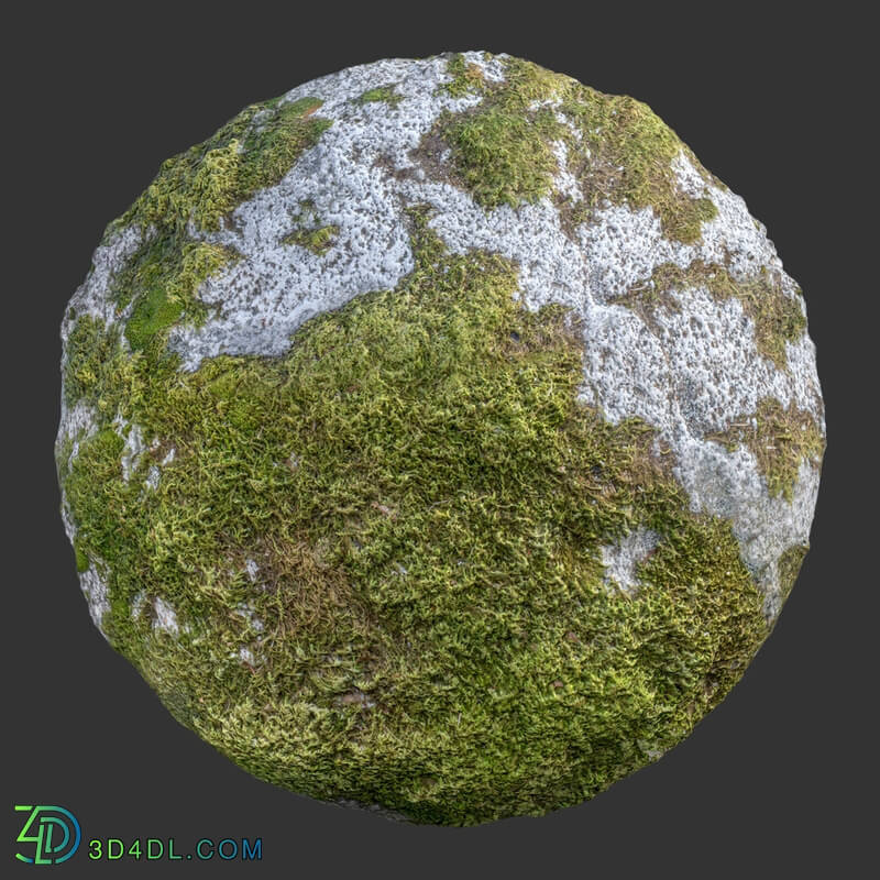 Poliigon Rock Mossy Full _texture_ - - -002
