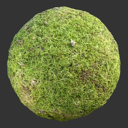 Poliigon Rock Mossy Full _texture_ - - -004 