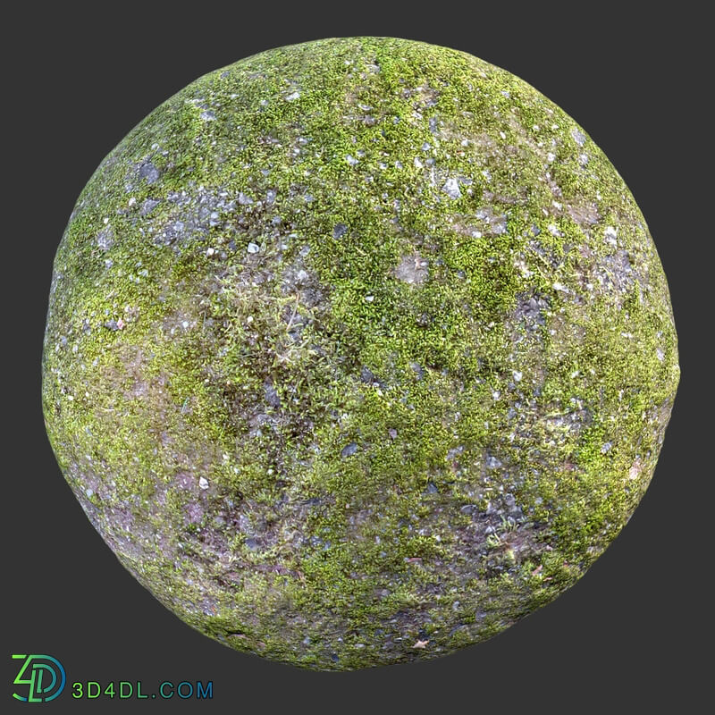 Poliigon Rock Mossy Full _texture_ - - -007