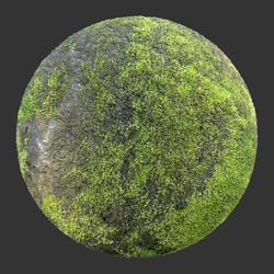 Poliigon Rock Mossy Full _texture_ - - -010 