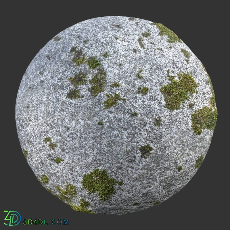 Poliigon Rock Spotty Moss _texture_ - - -002