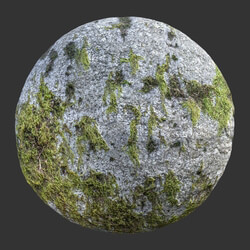 Poliigon Rock Spotty Moss _texture_ - - -003 