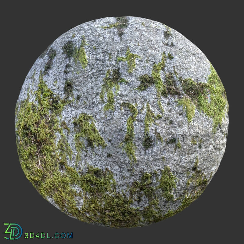 Poliigon Rock Spotty Moss _texture_ - - -003