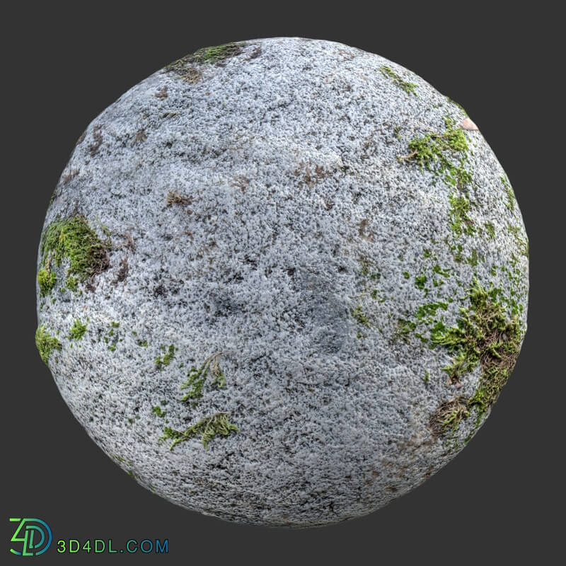 Poliigon Rock Spotty Moss _texture_ - - -004