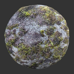 Poliigon Rock Spotty Moss _texture_ - - -005 