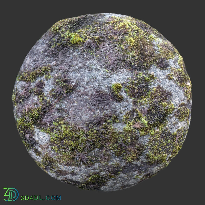 Poliigon Rock Spotty Moss _texture_ - - -005