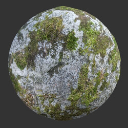 Poliigon Rock Spotty Moss _texture_ - - -006 