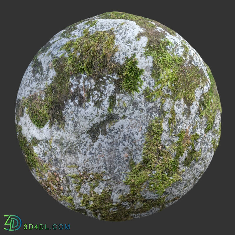 Poliigon Rock Spotty Moss _texture_ - - -006