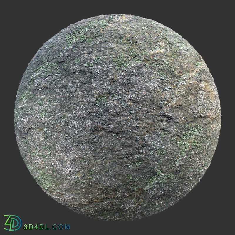 Poliigon Rock Spotty Moss _texture_ - - -008