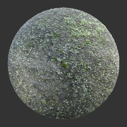 Poliigon Rock Spotty Moss _texture_ - - -009 
