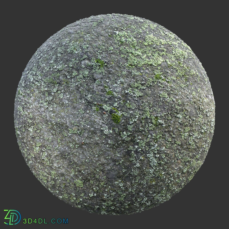 Poliigon Rock Spotty Moss _texture_ - - -009