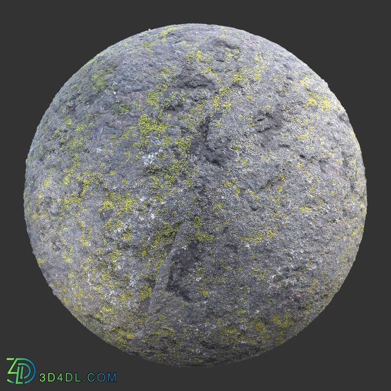 Poliigon Rock Spotty Moss _texture_ - - -010
