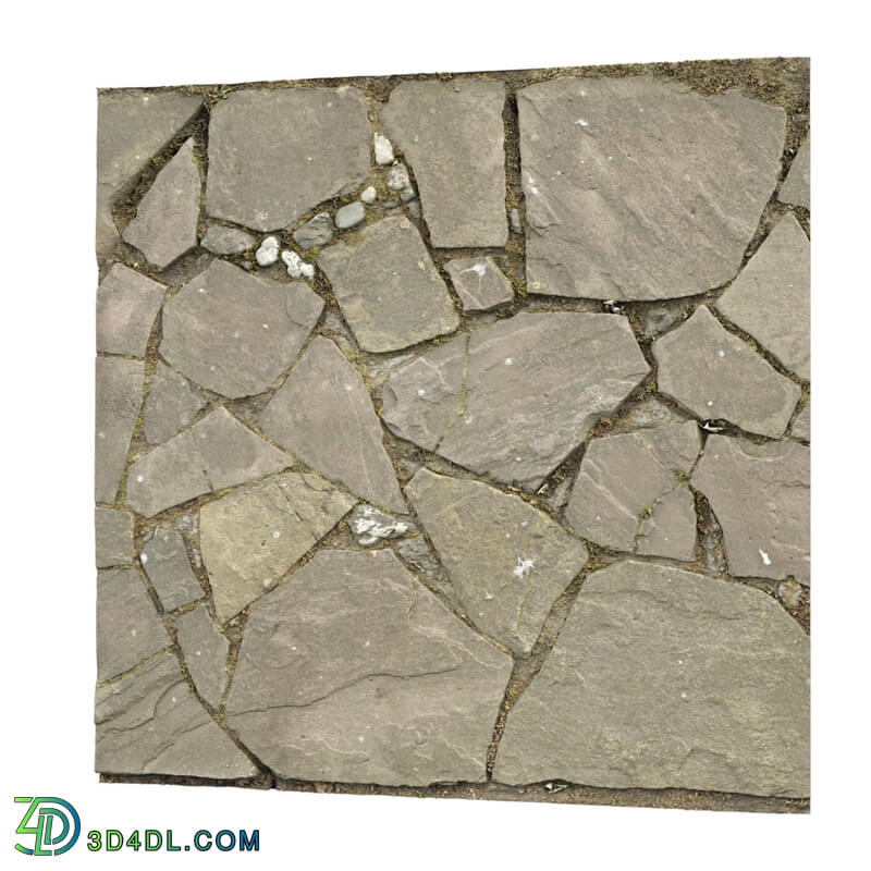 Paving Stones 069